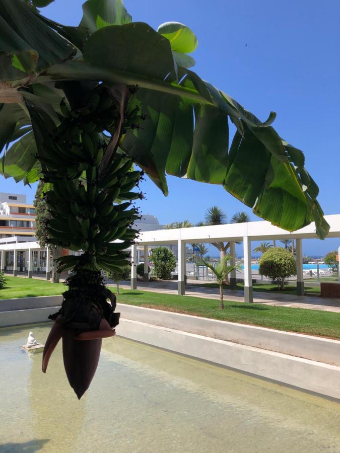 Good Vibes Appartement Costa Del Silencio Buitenkant foto