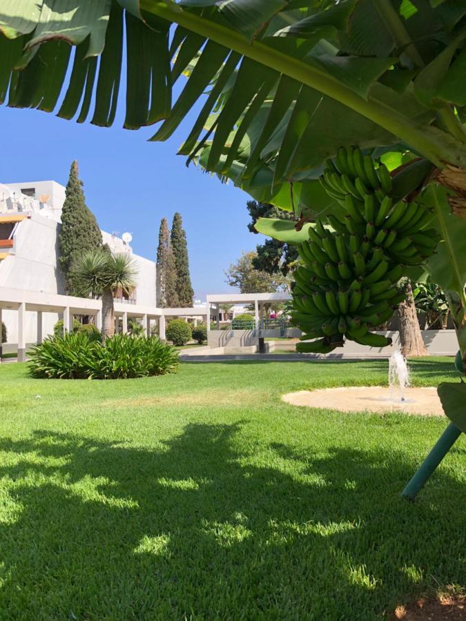 Good Vibes Appartement Costa Del Silencio Buitenkant foto